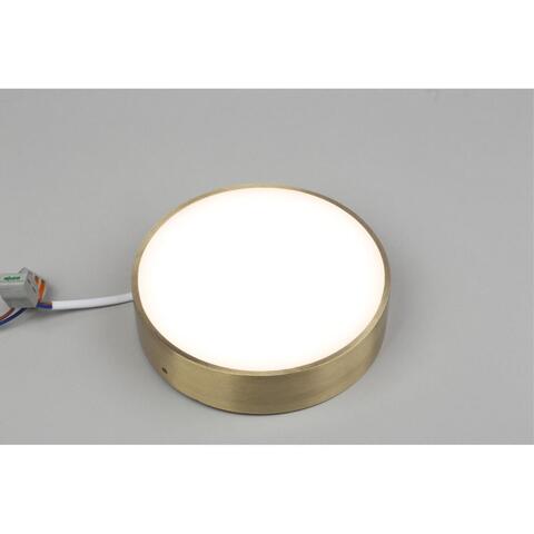 Потолочный светодиодный светильник Aployt Evon APL.0114.29.18