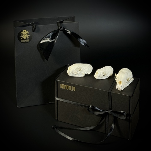 Куньи - трио