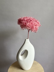 Гортензия стабилизированная светло-розовая