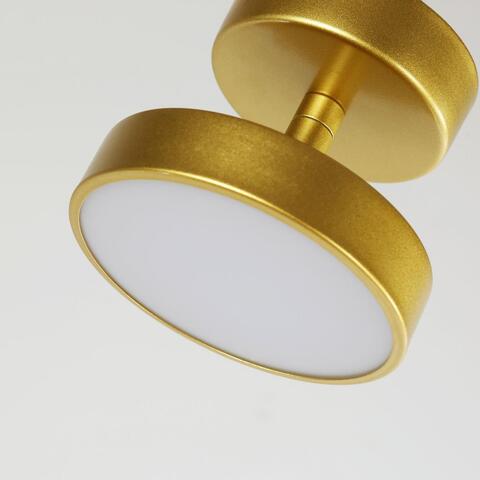 Потолочный светодиодный светильник F-Promo Atma 3059-1P