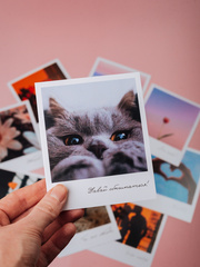 Фото-карточка 