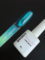 iPerfect, Гель-лак Lagoon Cat, 10 мл