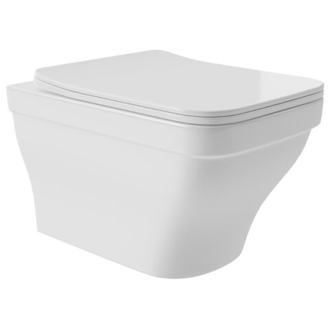 Aqueduto EST0110 AQD ESTETA Унитаз подвесной 520*365 безободковый, сиденье с микролифтом, белый глянцевый