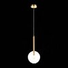 Светильник подвесной ST Luce Sofio SL1054.203.01