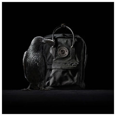 Рюкзак Fjallraven Kanken No. 2 Black Edition черный, 16 л