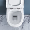 Унитаз подвесной безободковый BelBagno AMANDA BB051CHR