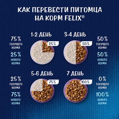 Felix Sensations пауч для взрослых кошек индейка,ягоды 75 г