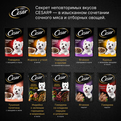 Cesar пауч для собак паштет (говядина) 80г