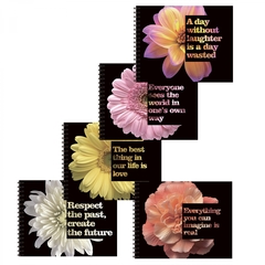 
          Блокнот А6+, гребень, Alingar, мелованный картон, Soft touch+ выб УФ лак, 48 л., клетка, "Цветы", ассорти