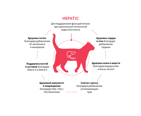 GRANDORF HEPATIC сухой корм для кошек / для поддержания функции печени при хронической печеночной недостаточности (2 кг)