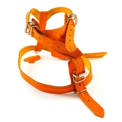 ZooMaster шлейка 20мм 55см