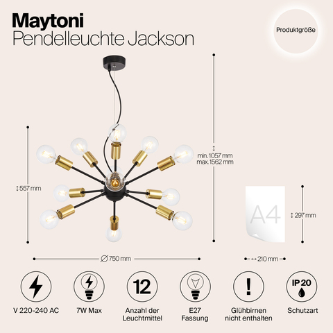 Подвесной светильник Maytoni Jackson T546PL-12B