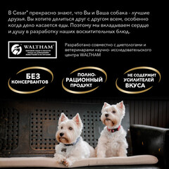 Cesar пауч для собак паштет (говядина) 80г