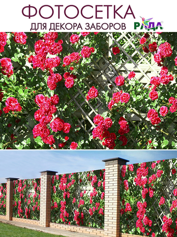 Фотосетка "Рада" для декора заборов "Розы на решетке" 158х300 см.