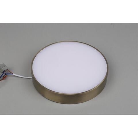 Потолочный светодиодный светильник Aployt Evon APL.0114.29.24