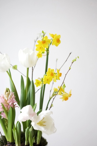 Композиция с первоцветами в стеклянной вазе размер L