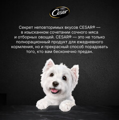 Cesar пауч для собак паштет (говядина) 80г