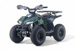 Детский бензиновый квадроцикл RiverToys LEON с электростартером