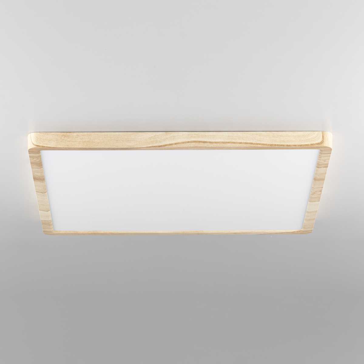 Светильник накладной Citilux Бейсик CL738K502V