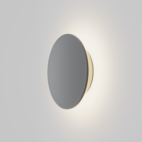 Настенный светодиодный светильник Maytoni Wald O420WL-L12GF