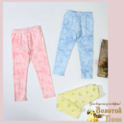 Лосины хлопок д (1-6) 260325-А-100