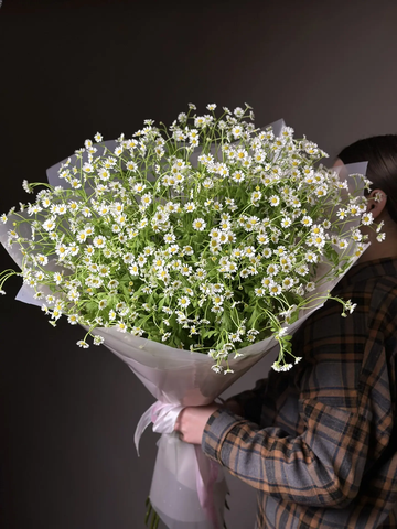 Букет ромашек