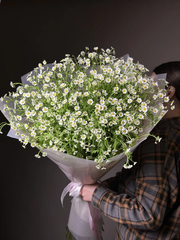 Букет ромашек