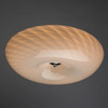 Светильник Arte Lamp Flushes A1531PL-3WH