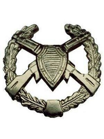 Эмблема петличная ПВ старого образца металл полевая
