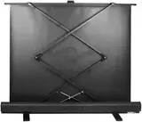 Экран Cactus 113x200см FloorExpert CS-PSFLE-200X113 16:9 напольный рулонный
