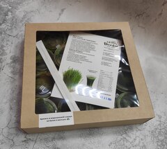 Витграсс сок ростков пшеницы 15 порций