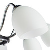 Люстра Arte Lamp Fiorentino A7144PL-8BK