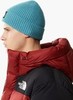 Картинка шапка The North Face Logo Box Cuff Beanie sht Storm Blu - 3