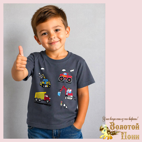 Футболка хлопок м (2-5) 260416-N643