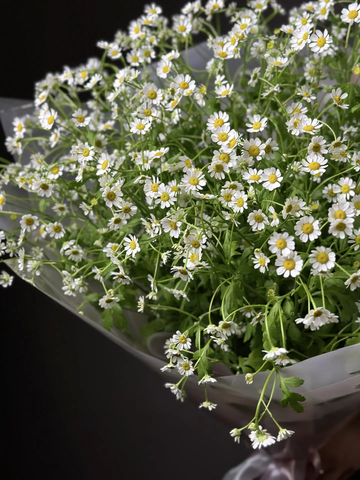 Букет ромашек