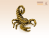 зодиак Скорпион (24 октября - 22 ноября)