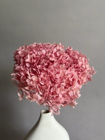 Гортензия стабилизированная светло-розовая