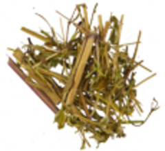 Череда (трава)