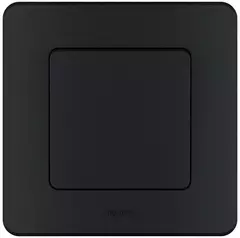 INSPIRIA Выключатель 1-кл. антрацит 673603