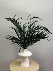 Эвкалипт Николи стабилизированный зеленый