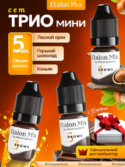 Сет пигментов Etalon mix для перманентного макияжа и татуажа