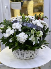 კატეგორიები