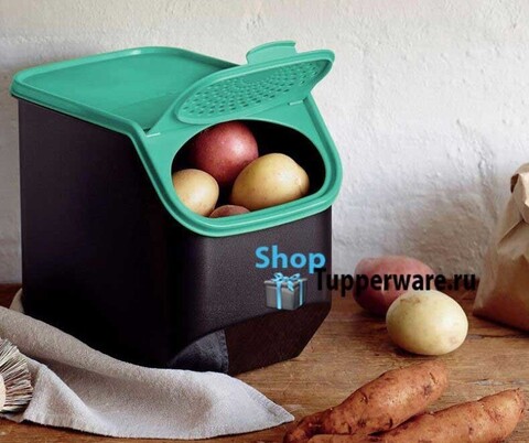 контейнер свежесть Tupperware для хранения картофеля
