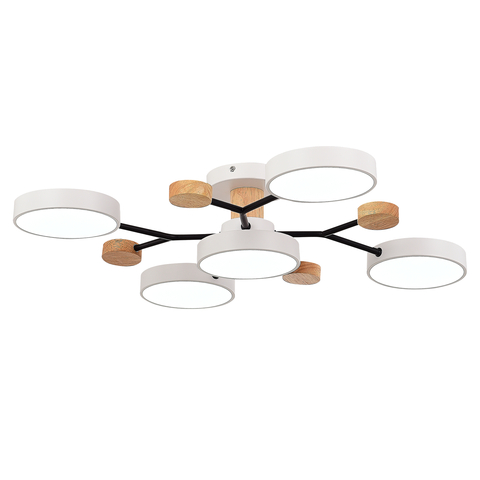 Светильник потолочный Evoluce Faema SLE6006-502-05