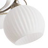 Люстра Arte Lamp Ellisse A6342PL-5WG