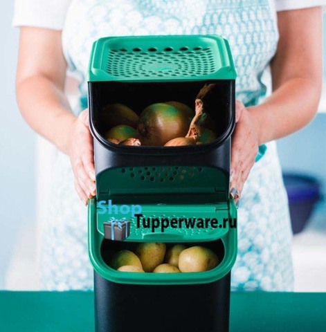 Контейнер Свежесть и Дыхание Tupperware - для хранения лука и картофеля