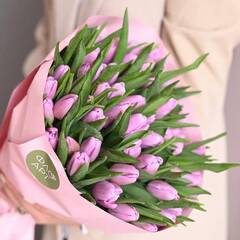 51 фиолетовый тюльпан