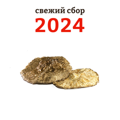 Мухомор пантерный шляпки, 10 грамм. Сбор 2024 г.