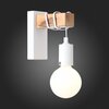 Светильник настенный Evoluce Bagetti SL1142.501.01