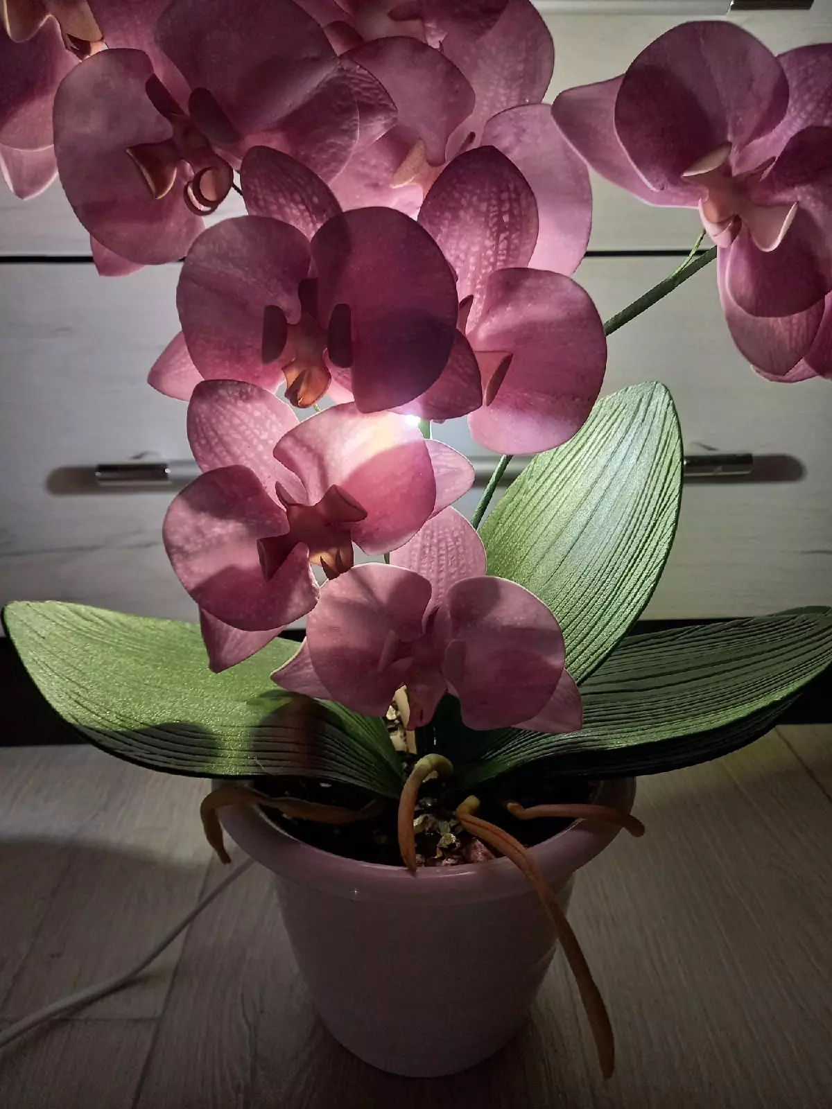 Как сделать орхидею из фоамирана – советы + пошаговое фото изготовления